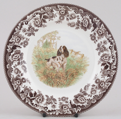 Plate Springer Spaniel